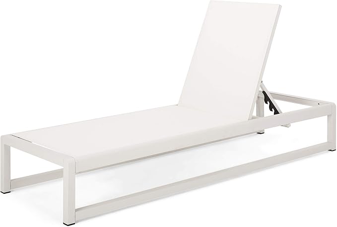 Christopher Knight Home Eudora Outdoor Chaise Lounge (Set of 2), White