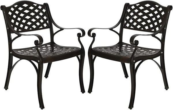 YUSING Outdoor Dining Chairs Set of 2, Cast Aluminum Metal Arm Chairs for Kitchen, Garden, Backyard - Photo 1
