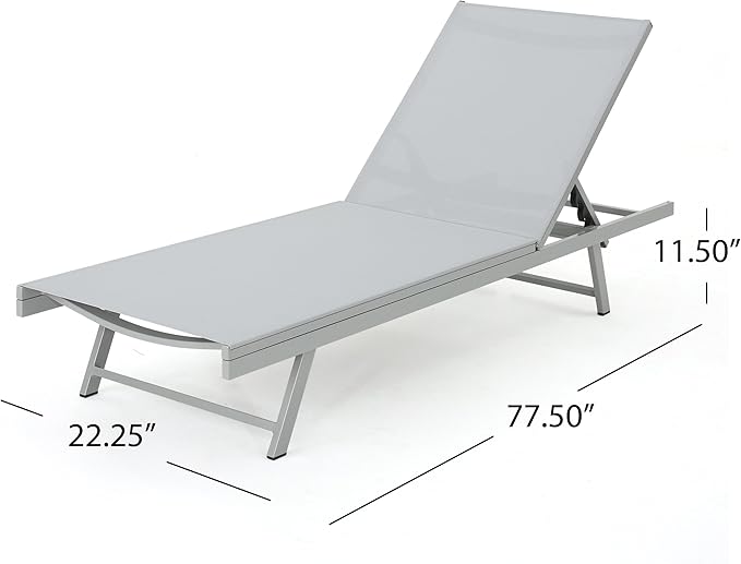 GDFStudio Allen Outdoor Gry Mesh Chaise Lounge with Aluminum Frame (Set of 2)