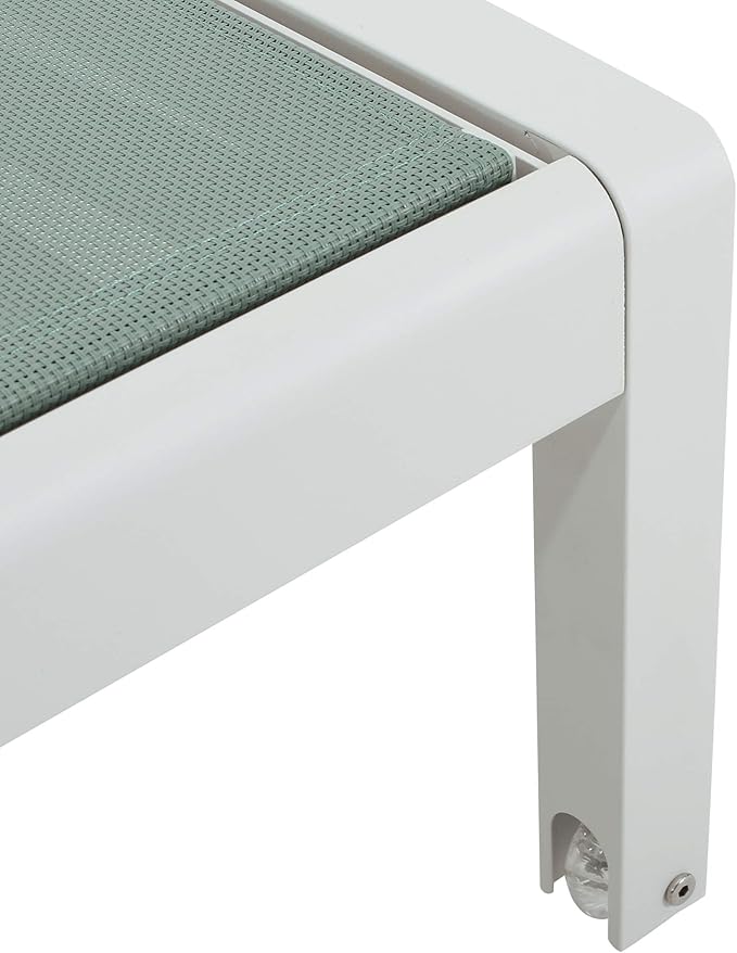 Christopher Knight Home Vanessa Coral Outdoor Chaise Lounges (Set of 2), Green and White