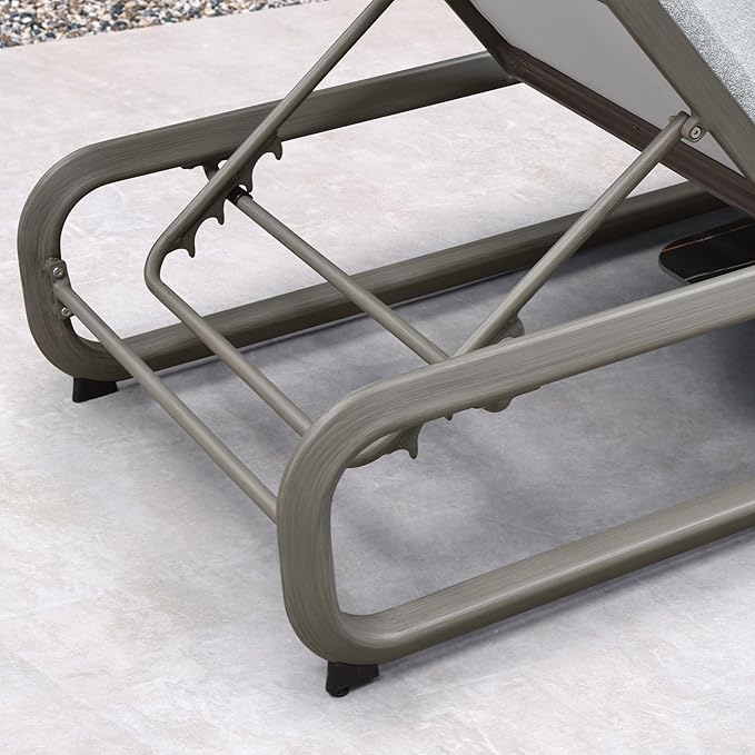 PURPLE LEAF Outdoor 3 Pieces Chaise Lounges Layout Lounges for Outside Slide-Out Side Table with Cushion Adjustable Backrest Grey