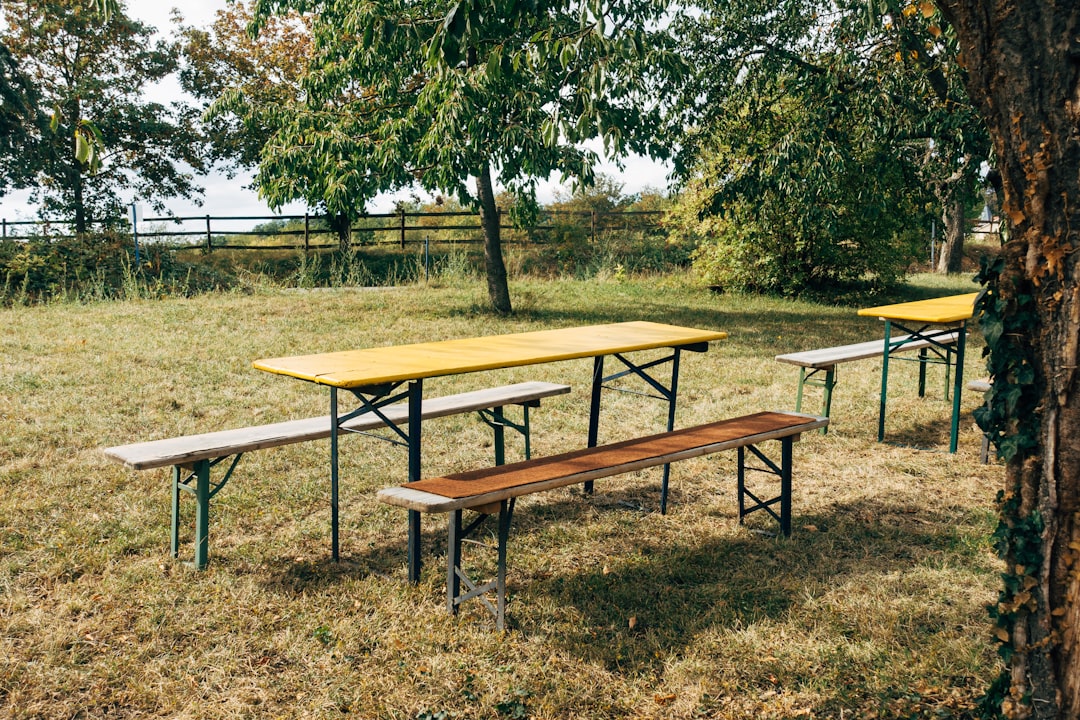 Folding Resin Picnic Table vs. Wood: Best Rental Backyard Choice