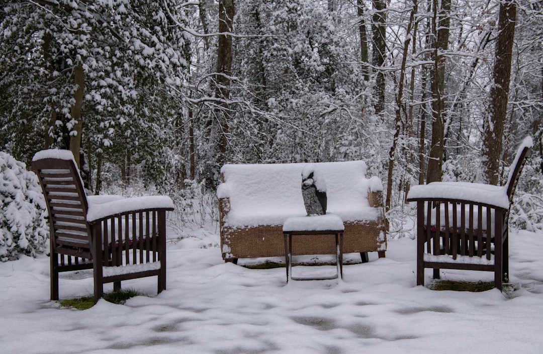 Wicker Furniture Clearance Sale: What to Check Before You Buy for Your Deck