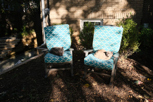 Outdoor Cushion Covers vs New Cushions: Best Choice for a Rainy Deck