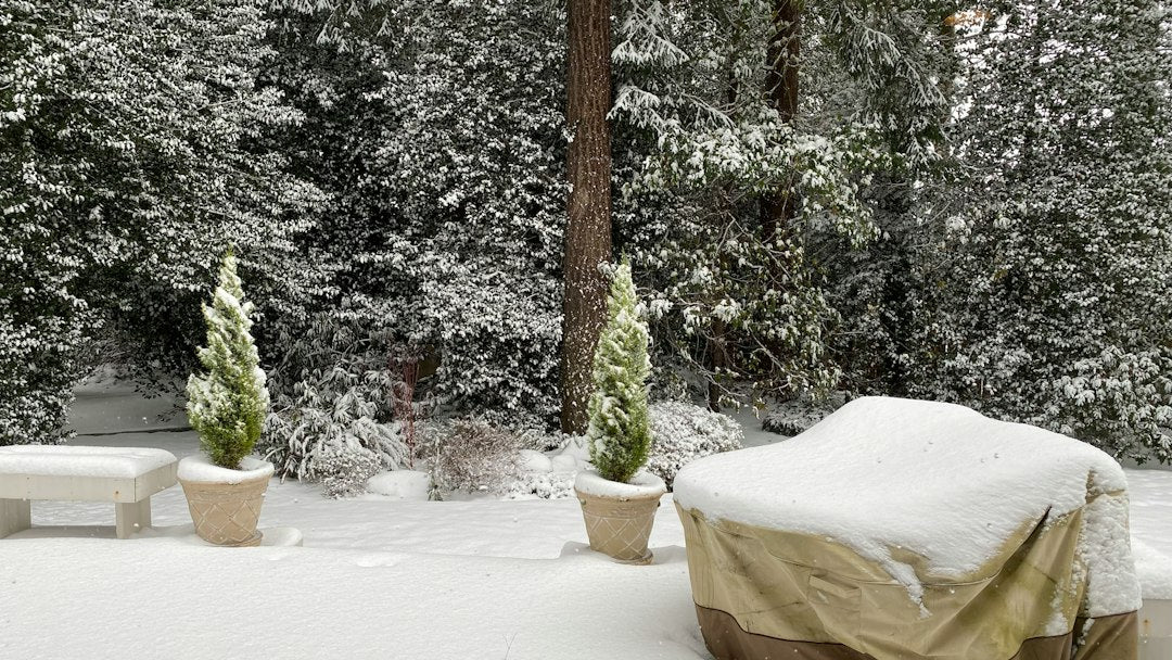 How to Create a Cozy Heated Lounge Setup on a Small Patio