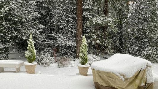 How to Create a Cozy Heated Lounge Setup on a Small Patio