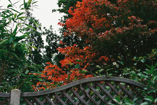 How to Choose a Solid Oak Garden Bench for a Shaded Garden Corner