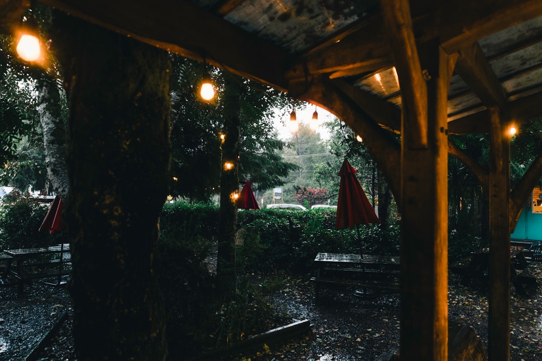 Creating a Cozy Outdoor Oasis: Essential Tips for Lighting Your Patio Space