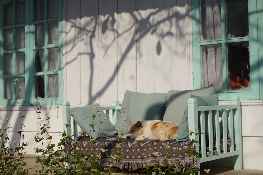 10 Essential Tips for Creating a Cozy Porch with the Right Outdoor Furniture