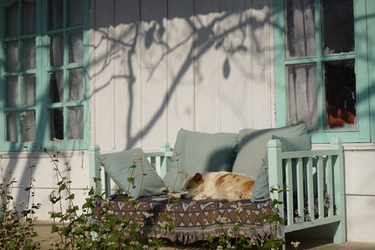 10 Essential Tips for Creating a Cozy Porch with the Right Outdoor Furniture
