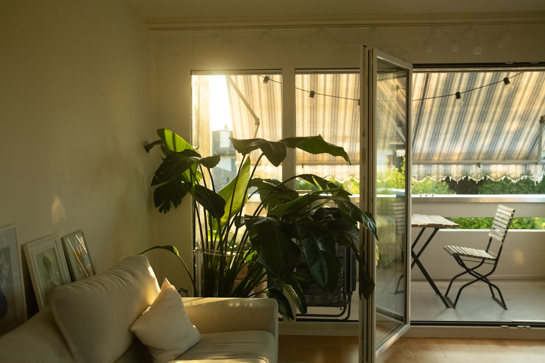 Create Your Dream Outdoor Living Room: Essential Tips for Furniture Arrangement and Decor