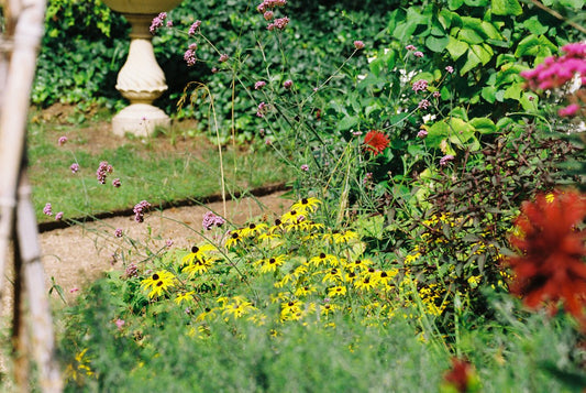 How Yellow Garden Cushions Brighten a Shaded Patio Without a Full Makeover