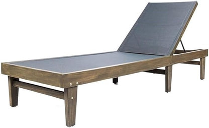Christopher Knight Home Shiny Outdoor Wood Chaise Lounge (Set of 2), Grey Finish/Dark Grey Mesh