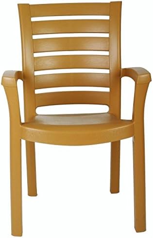 Compamia Marina Patio Dining Arm Chair in Teak Brown (Set of 2)