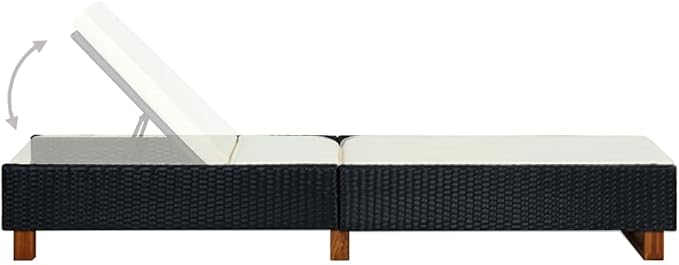 Sunbed Hammock Chair, Lounge Chair, Patio Lounge Chairs, Christopher Knight Outdoor Furniture, Outdoor Chaise Lounge - Photo 5