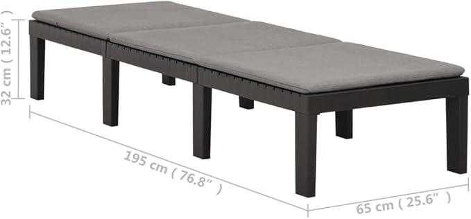 Anthracite Large Plastic Sunlounger 25.6x76.8x12.6 in Multi-Position Backrest Matte Finish Lightweight Outdoor Chaise for Patio Garden and Poolside Relaxation