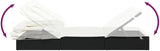 Roanor Outdoor Chaise Lounge Black Folding Rattan 83.9 x 24.8 x 38.2 in Adjustable Armrest & Canopy Patio Pool Deck - Photo 8