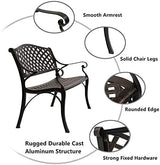 Garden Bench Outdoor Bench for Patio Metal Bench Park Bench with Armrests Sturdy Steel Frame Furniture Metal Bench for - Photo 8