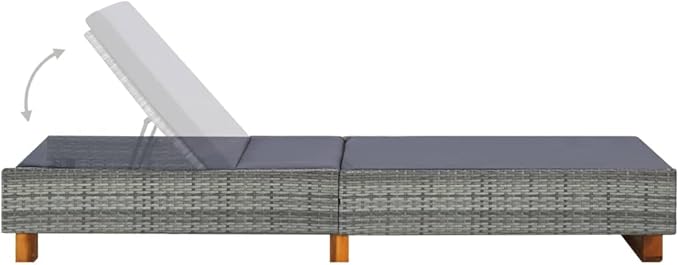 Sunbed Hammock Chair,Lounge Chair,Patio Lounge Chairs,Christopher Knight Outdoor Furniture,Outdoor Chaise Lounge,Outdoor Lounge Chairs Set of 2,with Cushion Poly Rattan Gray