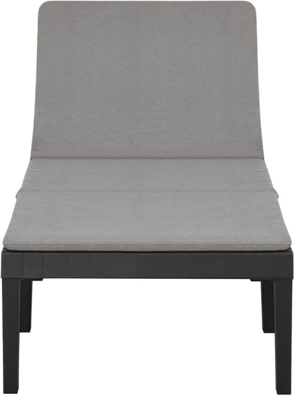 Sunlounger Anthracite Plastic Large Multi-Position Backrest Outdoor Recliner Poolside Recliner for Outside Balcony