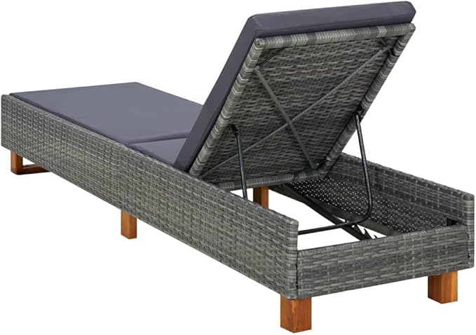 Sunbed Hammock Chair, Lounge Chair, Patio Lounge Chairs, Christopher Knight Outdoor Furniture, Outdoor Chaise Lounge - Photo 4