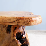13.8" Cedar Stump Stool,Natural Wooden Side Table,Plant Stool,Live Edge Coffee Table for Bedroom,Living Room, Outdoor - Photo 6