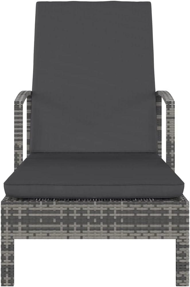 Outdoor Chaise Lounge Chairs for Outside,Patio Lounger Pool Furniture Adjustable,Recliner Chair for Beach,Backyard, Sun Lounger with Armrests Poly Rattan Gray