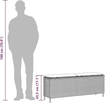 Garden Bench Deck Bench Patio Bench with Cushion Black 43.3"x11.8"x15.9" Poly Rattan