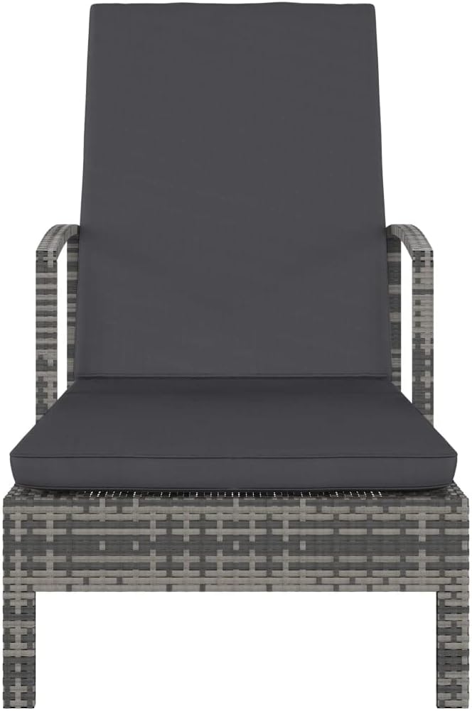 Sun Lounger Chaise Lounge,Lounge Chairs for Outside,Pool Lounge Chairs,Outdoor Chaise Lounge,Patio Lounge Chair,Outdoor Chaise,Pool Lounge Chair,with Armrests Poly Rattan Gray