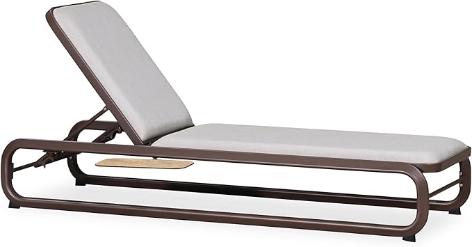 PURPLE LEAF 3 Pieces Chaise Lounges Patio Chairs Recliner Outdoor for Patio Poolside Balcony Slide-Out Side Table with Cushion Adjustable Backrest Coffee