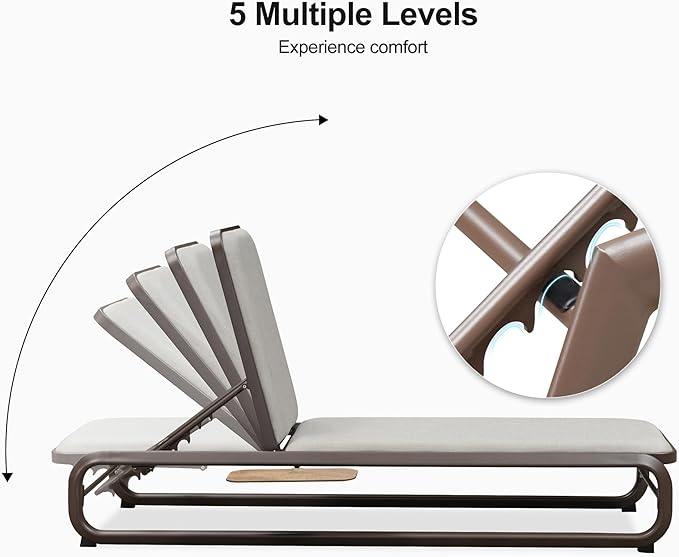 PURPLE LEAF 3 Pieces Chaise Lounges Patio Chairs Recliner Outdoor for Patio Poolside Balcony Slide-Out Side Table with Cushion Adjustable Backrest Coffee