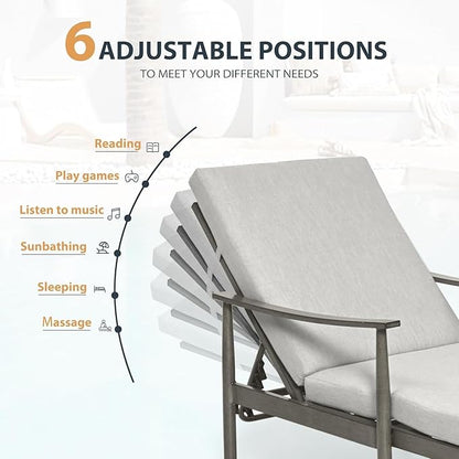 HAPPATIO Outdoor Chaise Lounge Chair Set of 2, Aluminum Pool Chair with Adjustable Backrest and Cushion, Curved Armrest, Outdoor Lounge Chair for Beach, Yard, Poolside (Grey)
