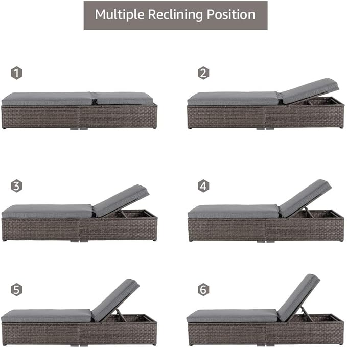 Patiorama Outdoor Patio Chaise Lounge Chair, Elegant Reclining Adjustable Pool Rattan Chaise Lounge Chair with Cushion, Grey PE Wicker, Steel Frame,Light Grey, Set of 2