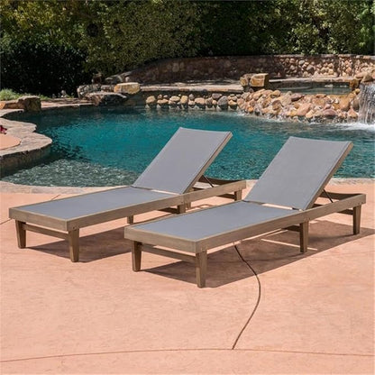 Christopher Knight Home Shiny Outdoor Wood Chaise Lounge (Set of 2), Grey Finish/Dark Grey Mesh
