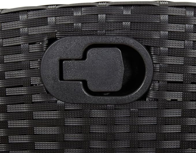 vidaXL Reclining Garden Chair Black Poly Rattan and Powder-Coated Steel