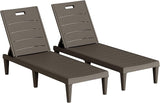 Homall Patio Chaise Lounge Chairs Set of 2, Outdoor Lightweight Lounge Chairs - Photo 1