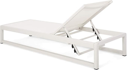 Christopher Knight Home Eudora Outdoor Chaise Lounge (Set of 2), White