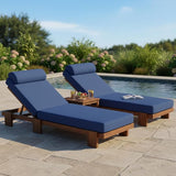 LUMISOL 2-Piece Outdoor Chaise Lounge Chair Set - Photo 1