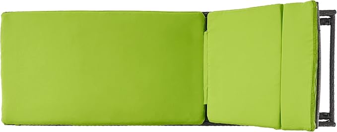 Christopher Knight Home Salem Outdoor Wicker Adjustable Chaise Lounges with Cushions, 2-Pcs Set, Multibrown / Bright Green