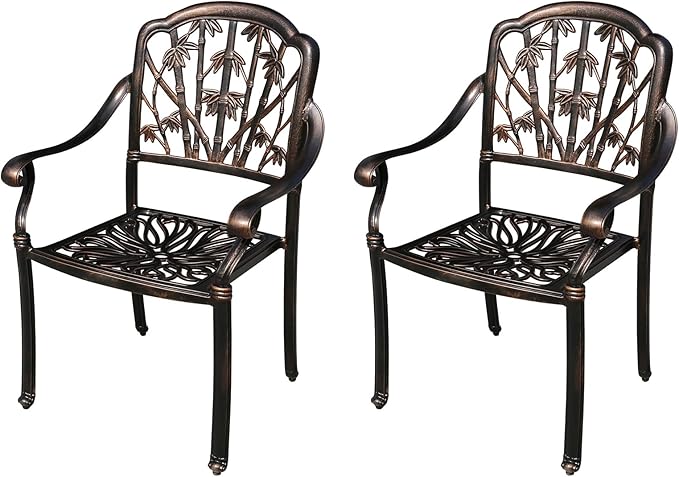 Outdoor Dining Chair Cast Aluminum Patio Chairs Set of 2 All-Weather Patio Dining Chair with Adjustable Feet for - Photo 1