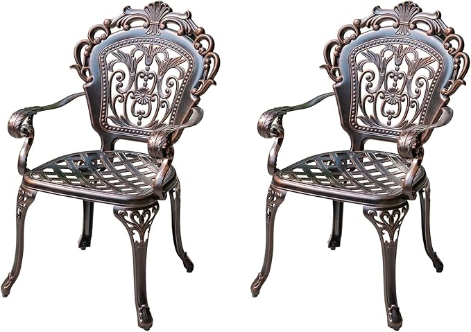 Outdoor Dining Chair Cast Aluminum Patio Chairs Set of 2 All-Weather Patio Dining Chair with Adjustable Feet for - Photo 1