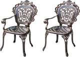 Outdoor Dining Chair Cast Aluminum Patio Chairs Set of 2 All-Weather Patio Dining Chair with Adjustable Feet for - Photo 1