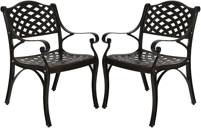 YUSING Outdoor Dining Chairs Set of 2, Cast Aluminum Metal Arm Chairs for Kitchen, Garden, Backyard - Photo 1
