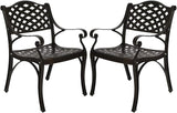 YUSING Outdoor Dining Chairs Set of 2, Cast Aluminum Metal Arm Chairs for Kitchen, Garden, Backyard - Photo 1