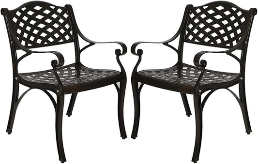 YUSING Outdoor Dining Chairs Set of 2, Cast Aluminum Metal Arm Chairs for Kitchen, Garden, Backyard