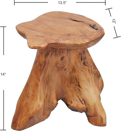 Cedar Wood Tree Stump Stool 13.5"x12"x14"H Live Edge Natural Coffee Side Table Rustic Plant Stand for Living Room Bedroom Patio Accent End Table Outdoor Garden Foot Rest Stool