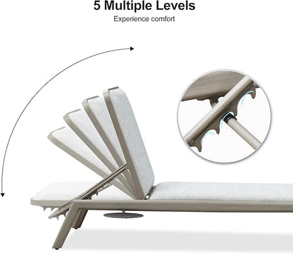 PURPLE LEAF Outdoor Chaise Lounge Chair Set of 2 with Cushion Aluminum Pool Side Sun Lounges Adjustable Reclining Patio Grey