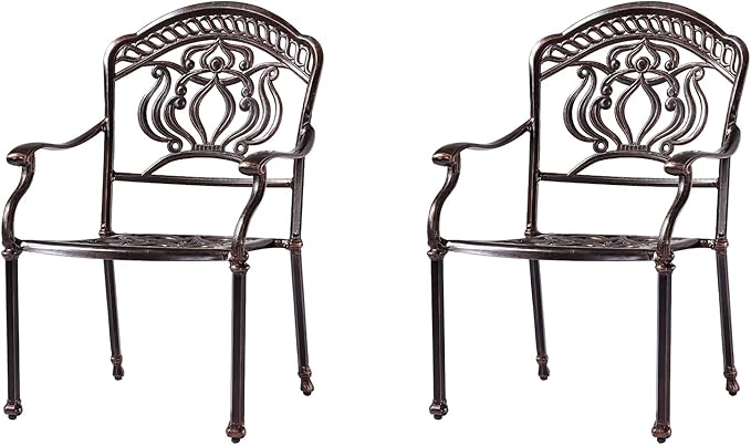 Outdoor Dining Chair Cast Aluminum Patio Chairs Set of 2 All-Weather Patio Dining Chair with Adjustable Feet for Backyard Garden (Barbecue Chair)