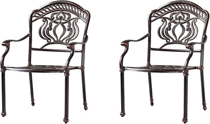 Outdoor Dining Chair Cast Aluminum Patio Chairs Set of 2 All-Weather Patio Dining Chair with Adjustable Feet for Backyard Garden (Barbecue Chair)
