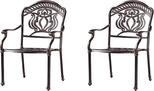 Outdoor Dining Chair Cast Aluminum Patio Chairs Set of 2 All-Weather Patio Dining Chair with Adjustable Feet for Backyard Garden (Barbecue Chair)